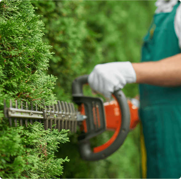 nos prestations de jardinage
